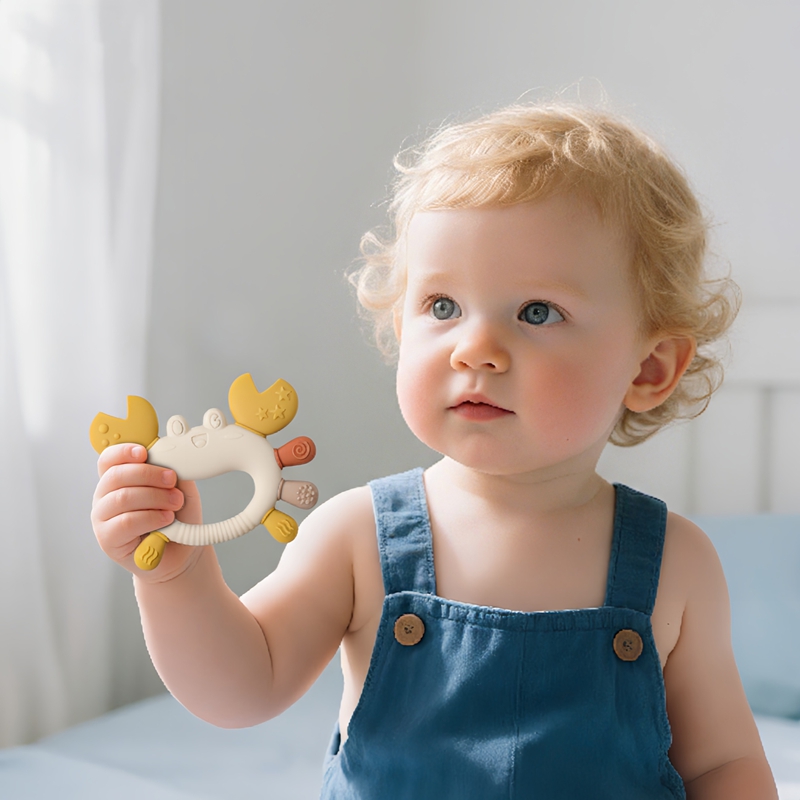 Baby Food Intake - Baby bebeSilicone meerkleurig krabspeeltje neemt de