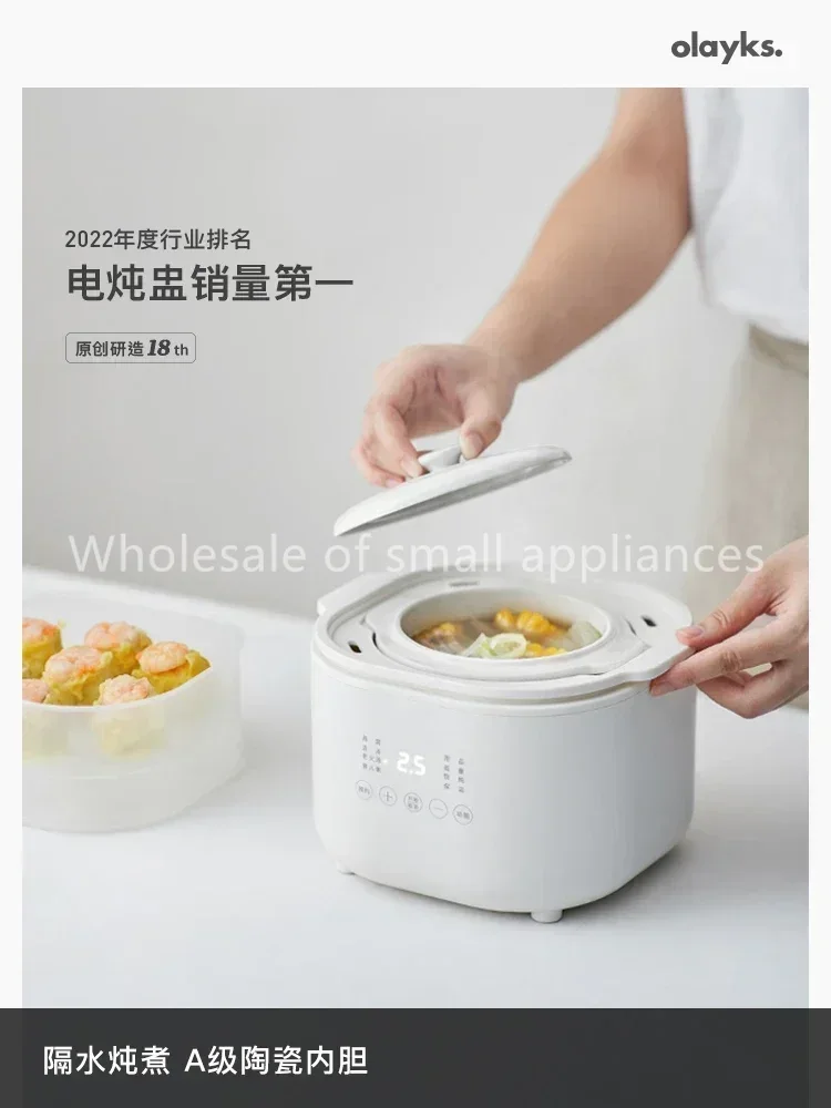 220V kleine elektrische kookpl - Baby Food Stew recensie en prijs