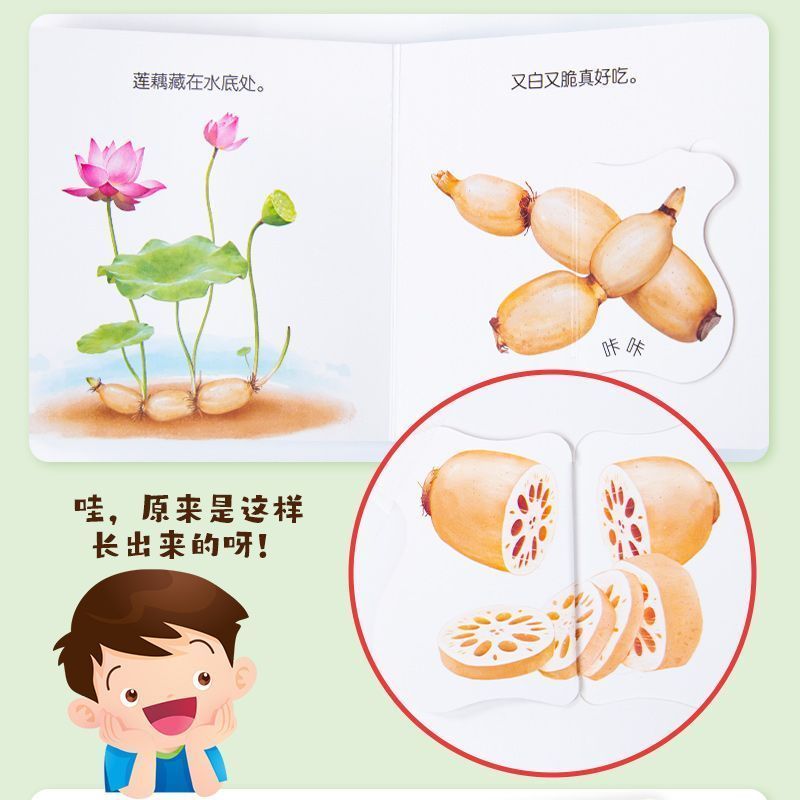 Flipbook voor babyvoedingsonde - Baby Food Age recensie en prijs