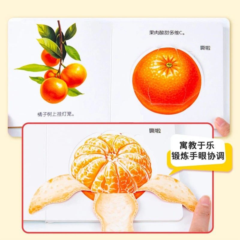 Flipbook voor babyvoedingsonde - Baby Food Age recensie en prijs